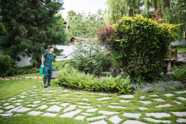 Best Exterminator Services  in Rockwood, MI