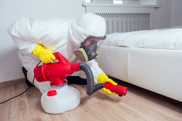 Professional Pest Control in Rockwood, MI