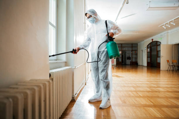 Best Cockroach Control Services  in Rockwood, MI